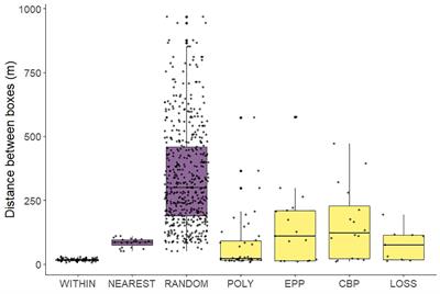 Reproductive Strategies Change With Time in a Newly Founded Colony of Spotless Starlings (Sturnus unicolor)